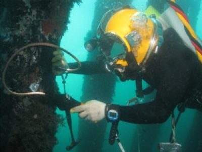 UWILD inspection